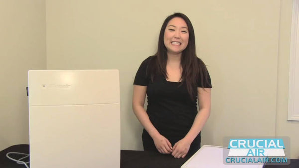 Blueair 203 air online purifier