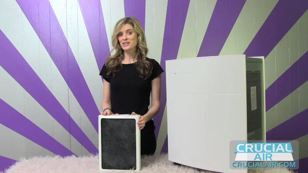 Blueair classic 605 top air purifier review