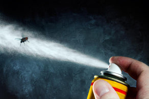 Chemical Free Insect Repellents That Work