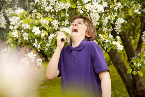 Allergies – Why Do They Make Us Miserable?