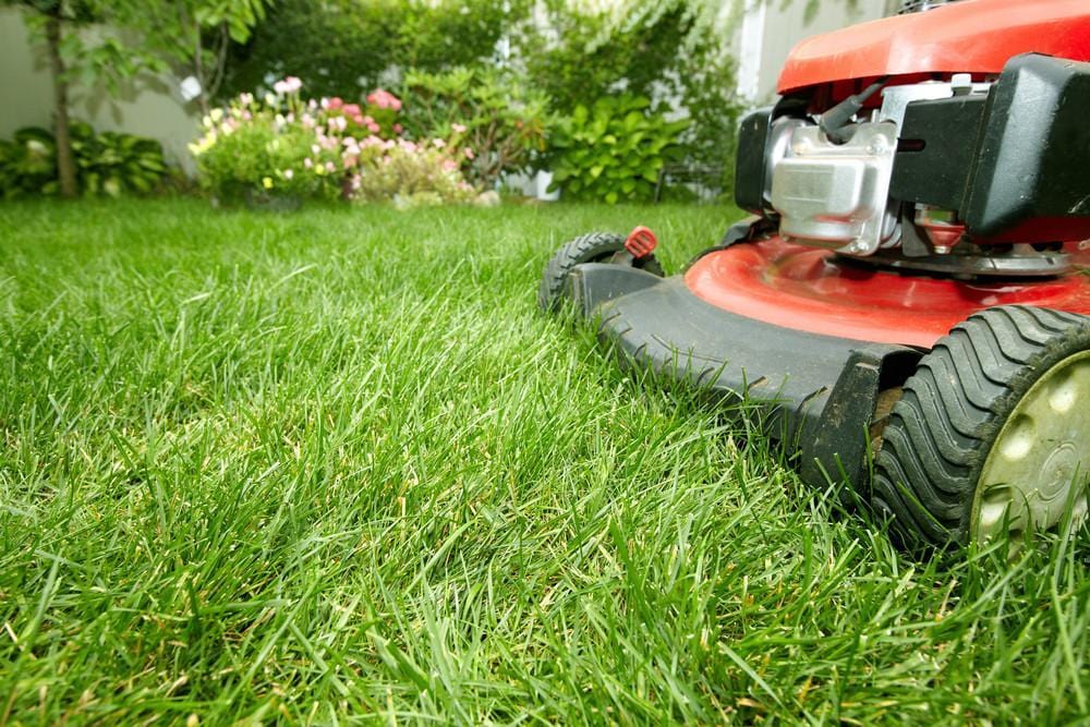 Shop Mower & Outdoor Power Tools