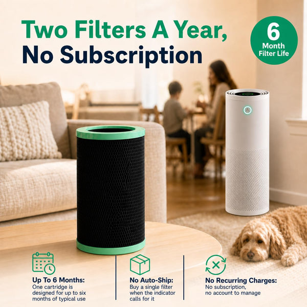 Replacement cartridge in a living room with a Jaspr Air Scrubber, showing up to 6 months filter life, no auto-ship, and no recurring charges