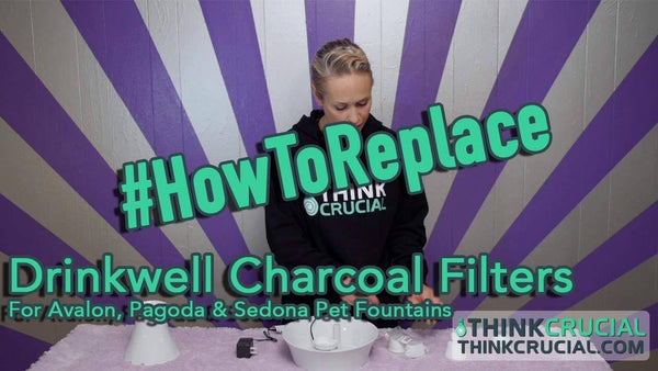 12pk Replacement Charcoal Filters, Fits Drinkwell Avalon, Pagoda & Sedona Pet Fountains