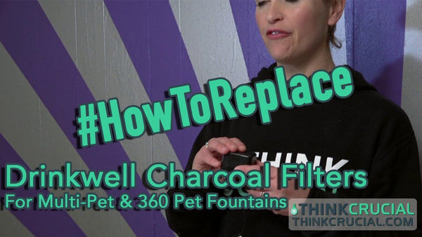 Replacement Charcoal Filters, Fits Drinkwell Stainless Multi-Pet & 360 Pet Fountains